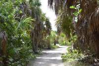 Interior Path on Egmont Key